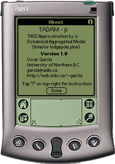 Palm