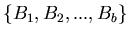 $\{ B_1, B_2,..., B_b \}$