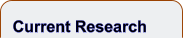 Current Research