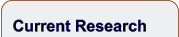 Current Research