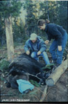 click image to enlarge