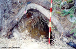 click image to enlarge