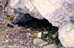 click image to enlarge