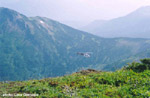 click image to enlarge