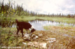 click image to enlarge