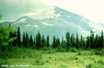 click image to enlarge