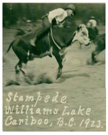 Steer Wrestling, 1923
