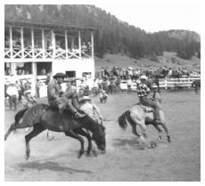Baraback rider, 1964