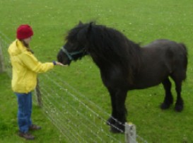 Michelle Read with Pony