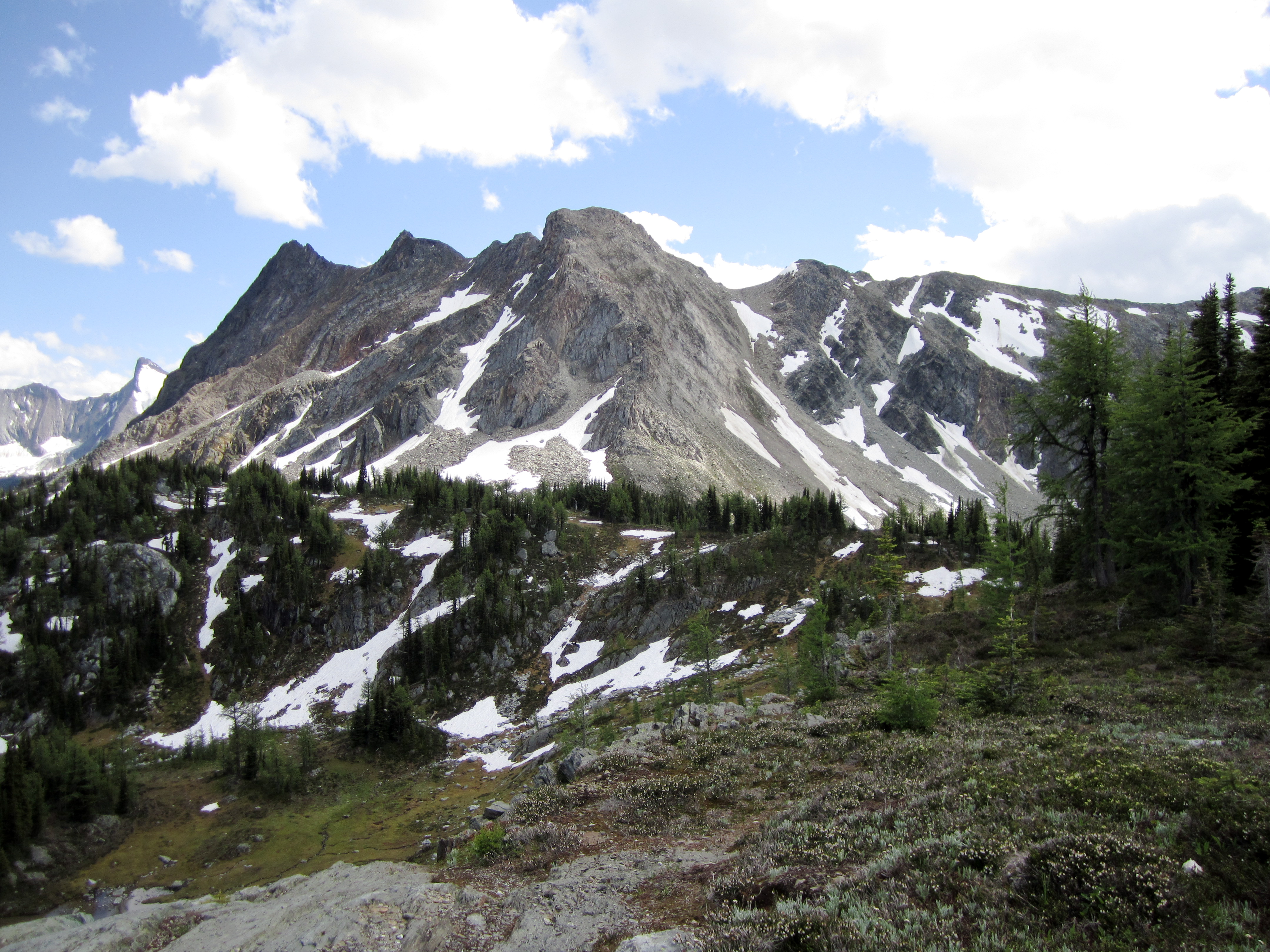 Jumbo Pass