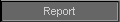 Report
